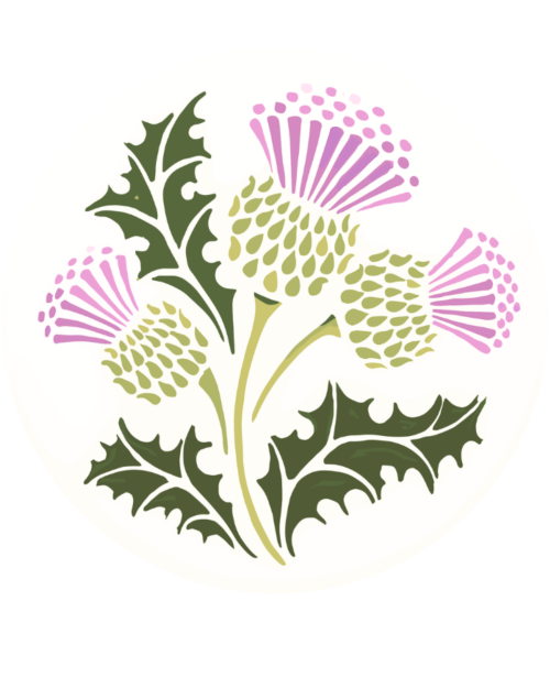 Thistle Brand Awareness Campaign